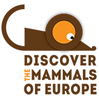 Discover the mammals of Europe