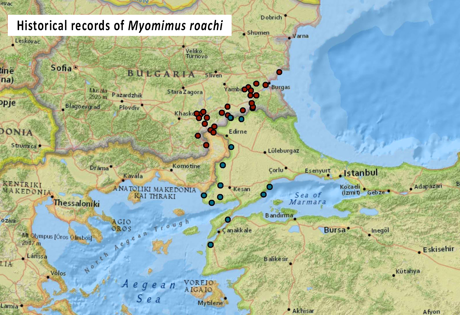 Historical distribution data of Moude-tailed dormouse (Myomimus roachi).