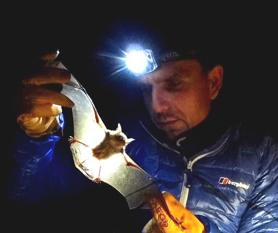 Boyan Petrov with bat (Photo: Boyan Petrov)