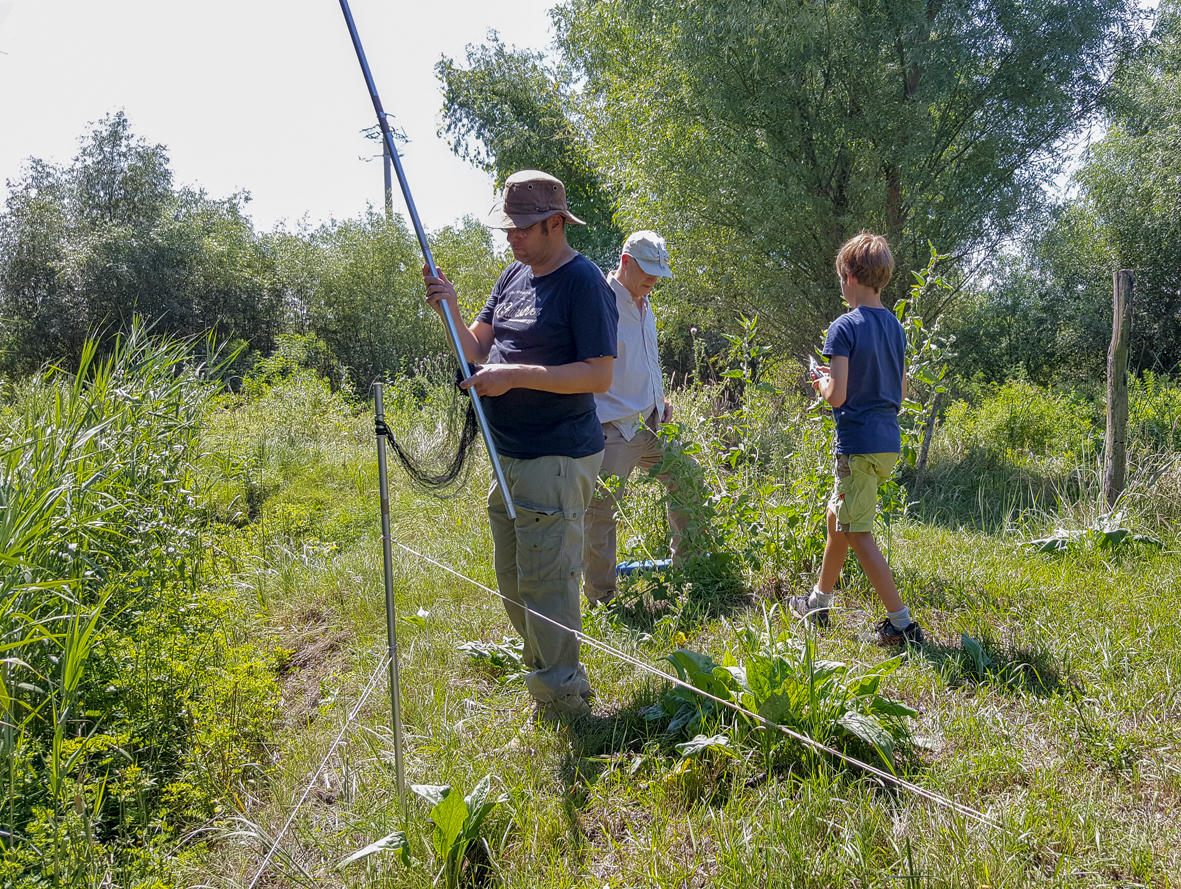 Placing mist nest in Danube delta, Romania (Photo: Dennis Wansink)