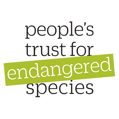 Logo People's Trust for Endangered Species (PTES)