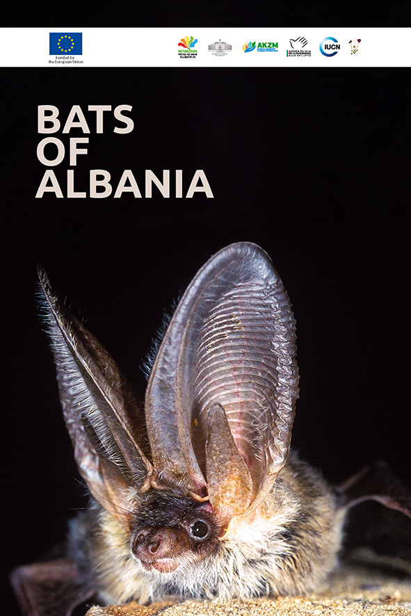 Atlas of bats in Albania
