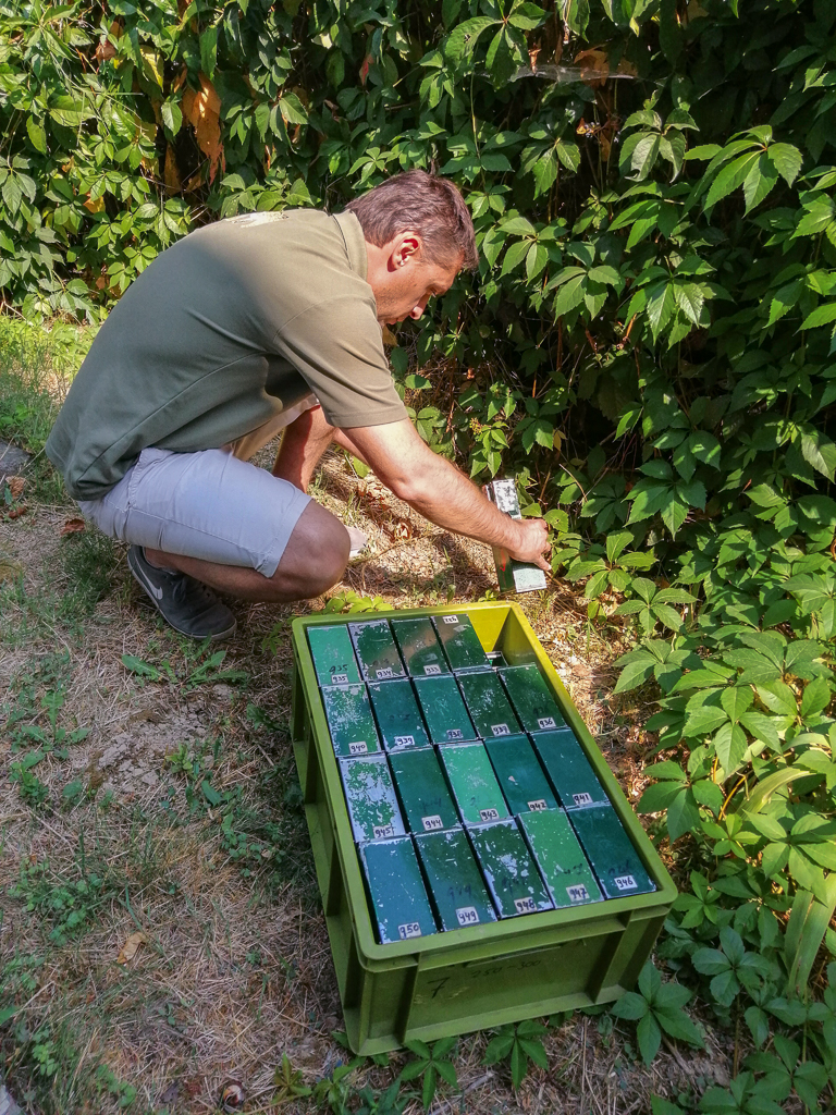 Placing live traps in North-Macedonia (Photo: Dime Melovski)