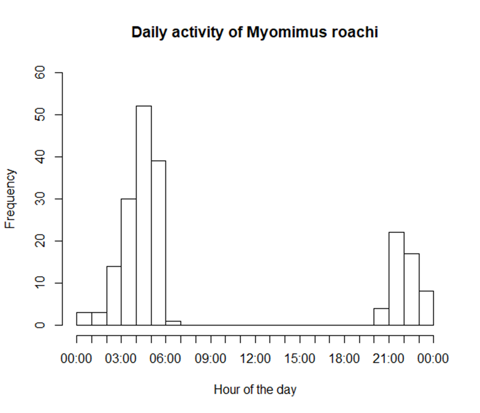 Daily activity of Roach's mouse-tailed dormouse (Nedko Nedyalkov April 2021)