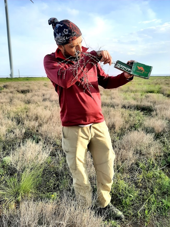 Checking a live trap in Ukraine (Photo: Mikhail Rusin)