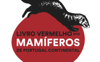 Updated Portuguese Red book