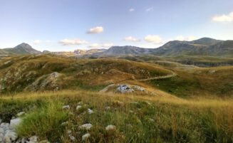 Batloggers for Wildlife Montenegro