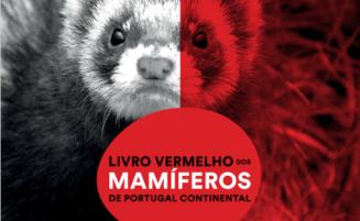 New species in the Portuguese Red Data Book