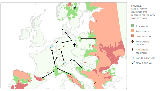 Wolf expansion in Europe (Source: Wildlife comeback in Europe).