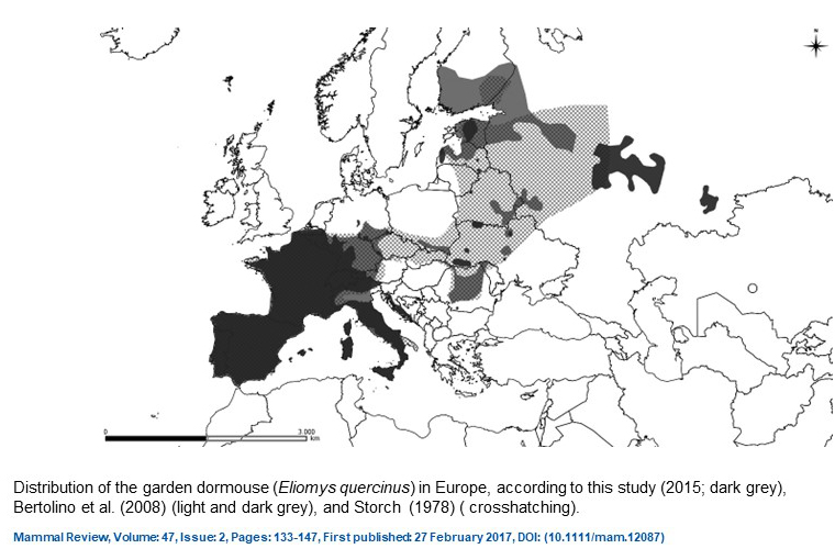 Garden dormouse (Eliomys quercinus) distribution map in 2017