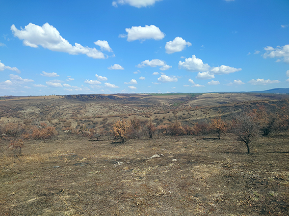 Wildfire in Sakar 2024 (Photo: Nedko Nedyalkov)_4