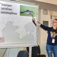 Karina Vishnyakova data on marine mammals is collected and transfered to the OBIS database (Photo Maria Ghazali)_IMG_2483